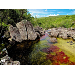 Колумбия 2022: пятицветная река, Кофе и Райские Пляжи Карибов